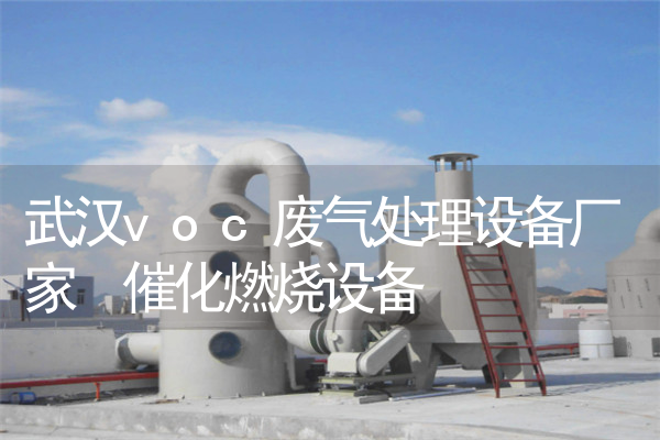 武汉voc废气处理设备厂家 催化燃烧设备
